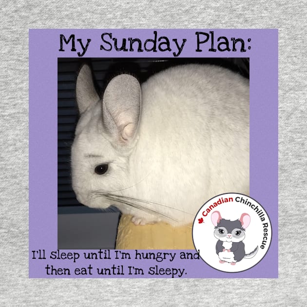 Chinchilla inspirational thoughts by canchinrescue